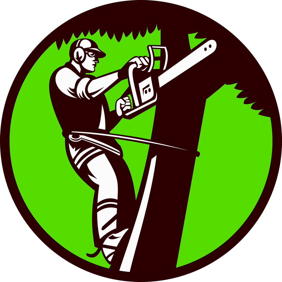 StillmansTree's tweet image. You can rely on Stillman&apos;s Tree Service. Call (941) 799-2222. #StillmensTreeService #TreeTrimmer  #TreeTrimming, #TreeRemoval #TreeCutting  🌳