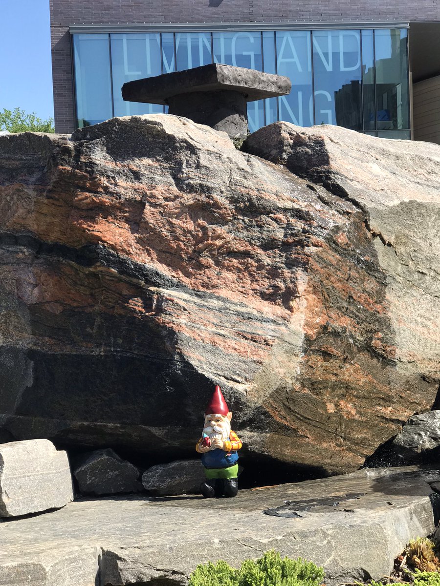 Deidre (Dee) Henne tweet media