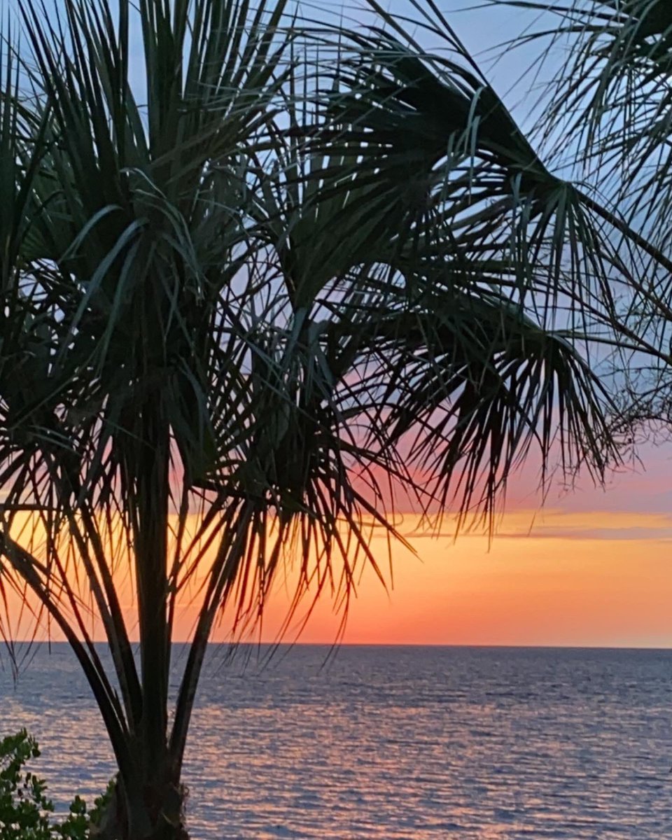 cfay77's tweet photo. Iโll never get tired of Godโs masterpieces!! #FLNatureCoast #FLSunset #GodsHandiwork https://t.co/PmhfHRD9ll