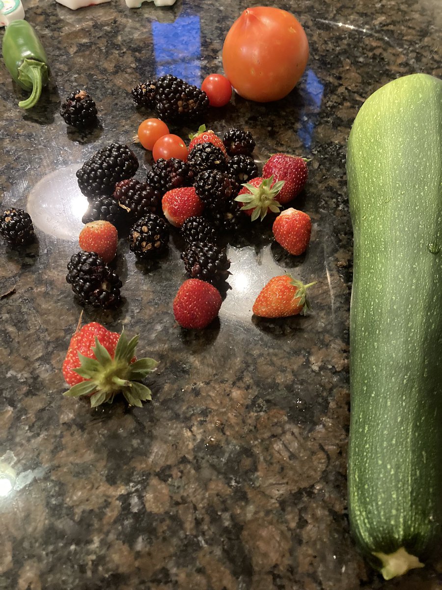 🐐Rob Cannon🐐 tweet media