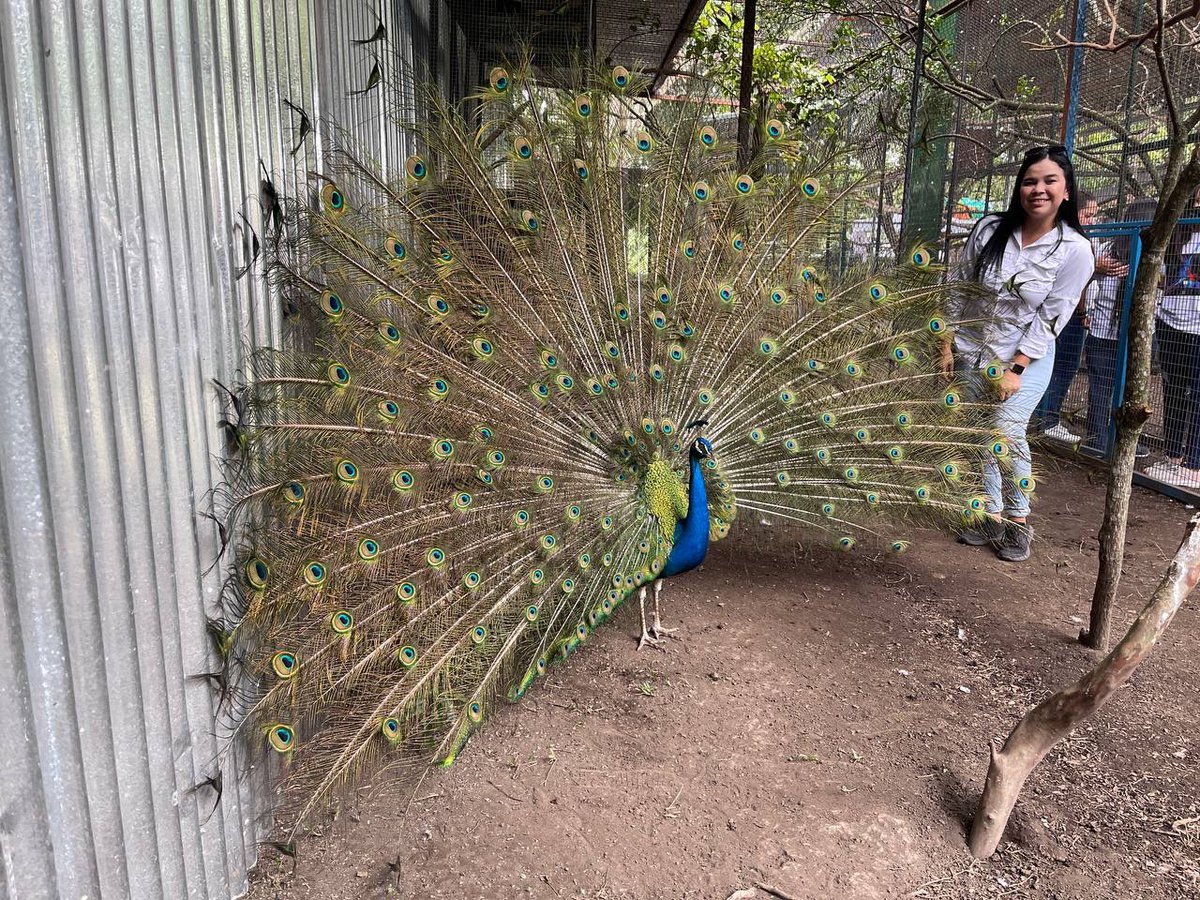 Fatiima_Bran's tweet photo. Aproaves es un lugar donde se puede visitar en familia y vivir la experiencia de ver muchas aves en una vida libre de cautiverio.
Está ubicado en Zapotitan La Libertad. #Aproaves #ElSalvador https://t.co/0abt6WDas9