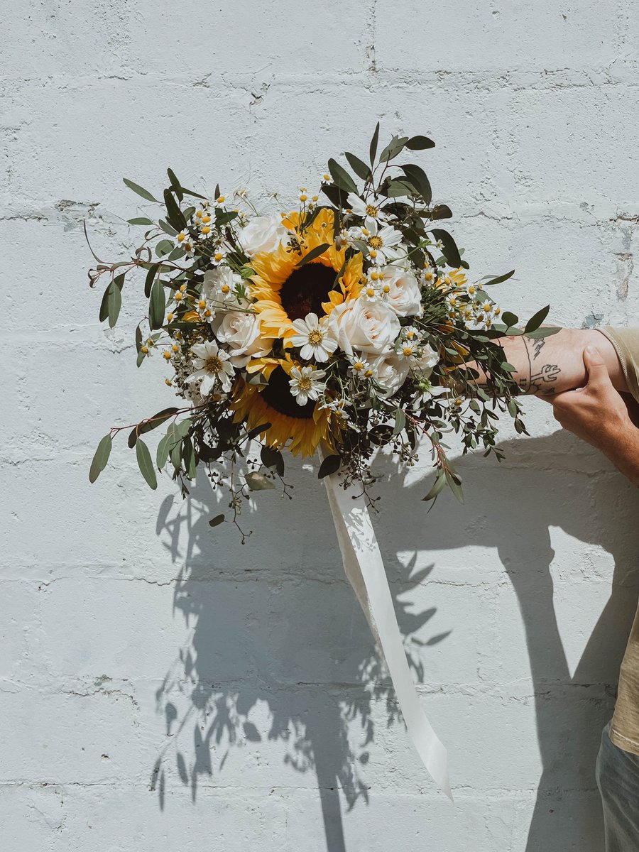 PinaTaylotta's tweet photo. Wittle bitty daisies, big beautiful sunflowers 🌻🌻🌻 https://t.co/4BsO9VCyha