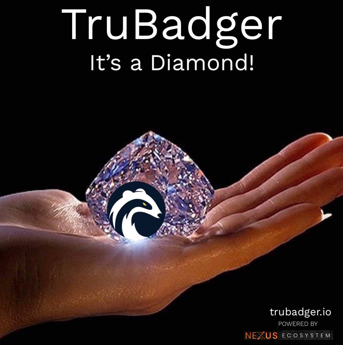 nadiabundance's tweet image. Brilliant, valuable, transparent, durable 💎
@TheTruBadger  @NexusEcosystem #Crypto 
trubadger.io