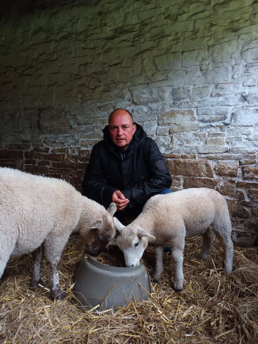53Nhs's tweet photo. I had to get Lucy the Lamb and Lucia out of the heavy rain earlier...❤️🐐 https://t.co/P44l74visT