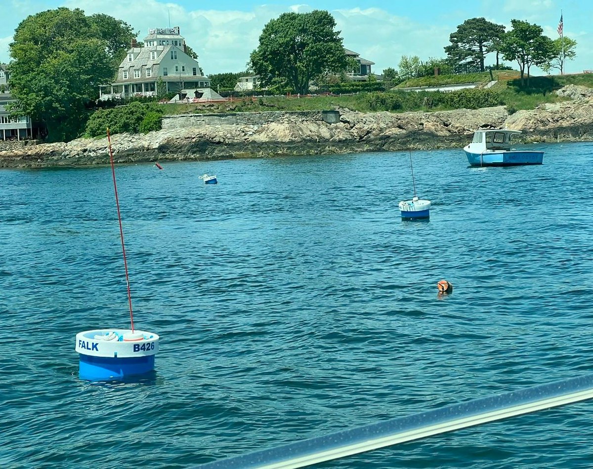 afalk's tweet photo. We have been waiting for this day for 21+ years...
#marbleheadharbor #permamentmooring
📷: @lobstadivah https://t.co/Min5vQiXU3