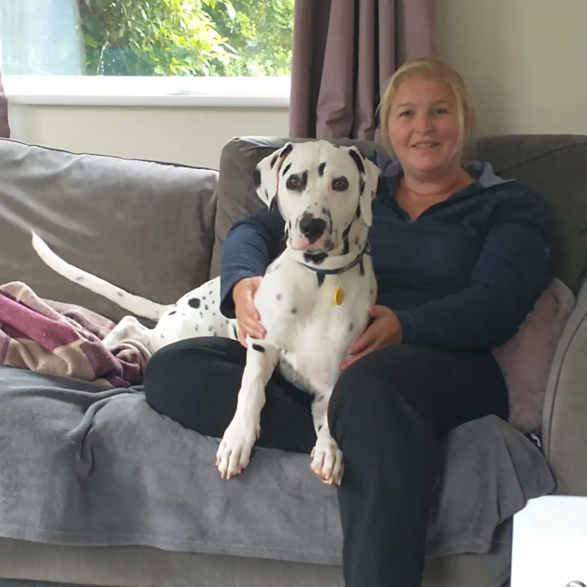 Paws4Teaching tweet media