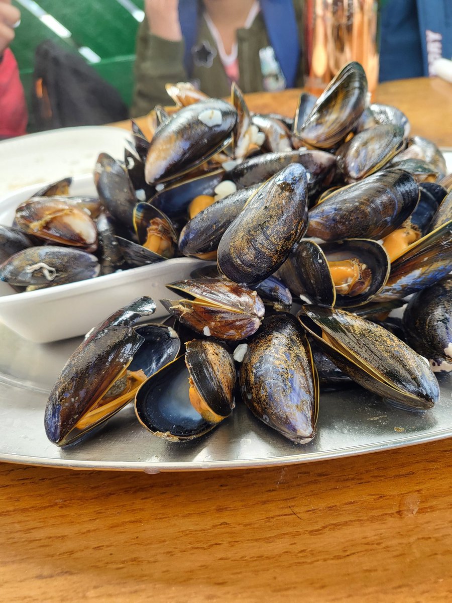 chloeelyssec's tweet photo. Also went to Oban, the seafood capital of Scotland 🏴󠁧󠁢󠁳󠁣󠁴󠁿😁 https://t.co/6tfmmnvVSV