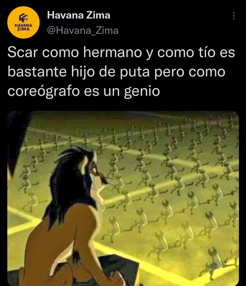 Havana Zima tweet media