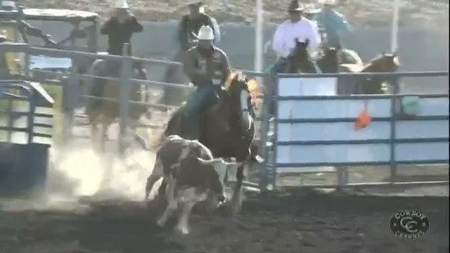 Jesse Brown has dominated the steer wrestling so far Santa Maria. 
buff.ly/3mfdUyO