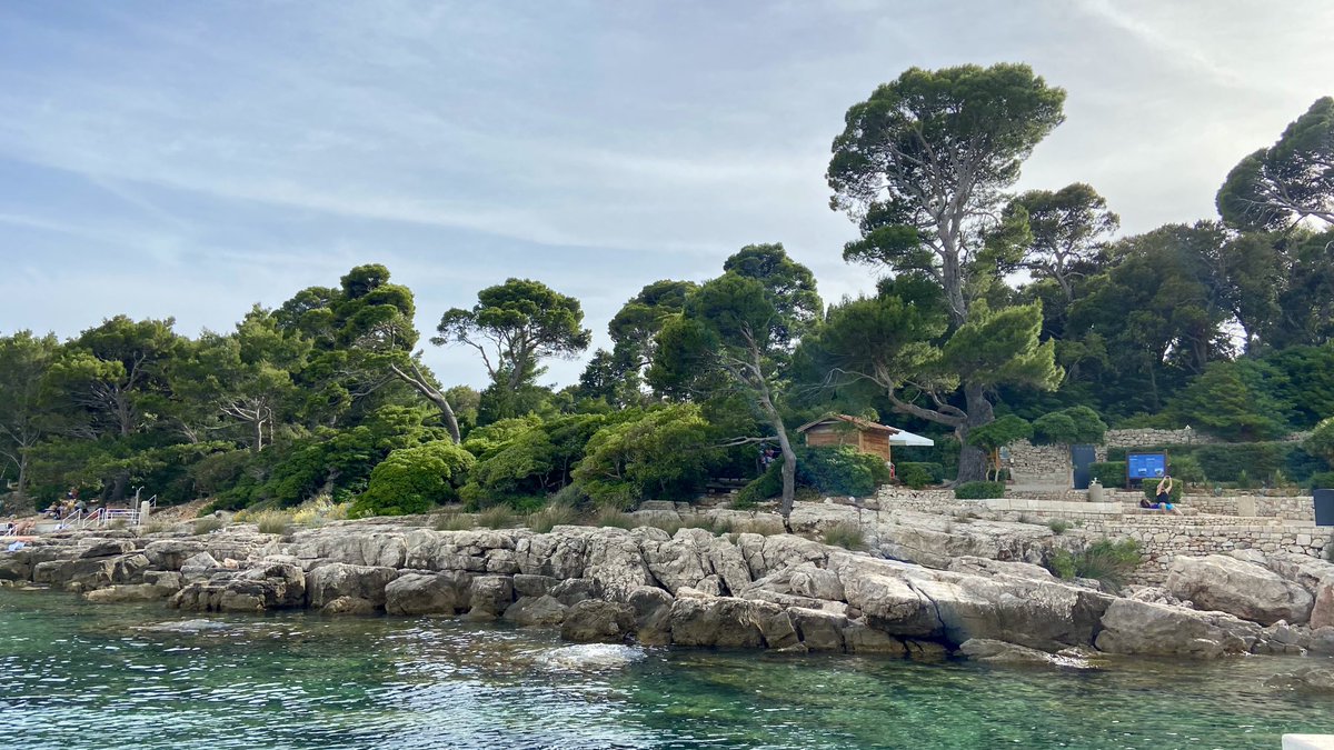 EstherChristina's tweet photo. Endlich wieder Urlaub! Am ersten Tag die Insel Lokrum erkundet.
#Urlaub #Kroatien https://t.co/rsW5RjKCJe