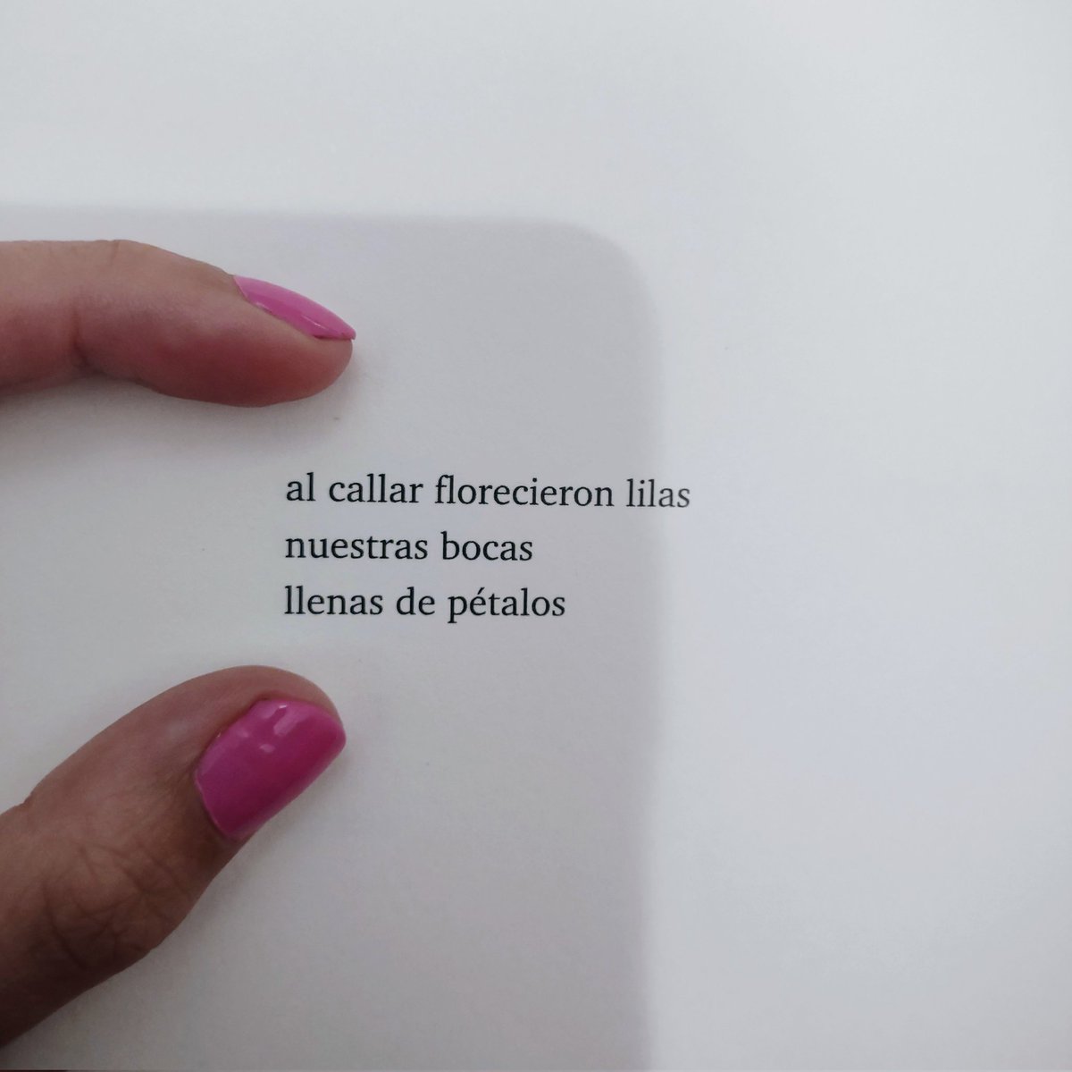 Ahora y poema, de Lara Muslera.