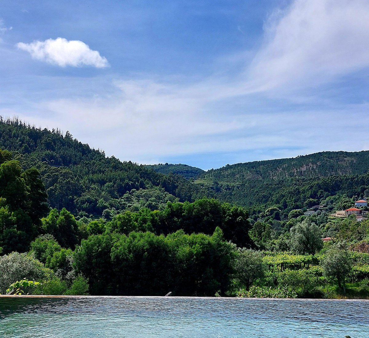 A. Feijó, o mais sábio💚💙
"É que nas terras que tenho visto, Por toda a parte por onde andei,
Nunca achei nada mais imprevisto, Terra mais linda nunca encontrei."
#pontedelima #verdeminho #turismoportugal
#visitpontedelima #visitportugal #Turismo #CaminodeSantiago