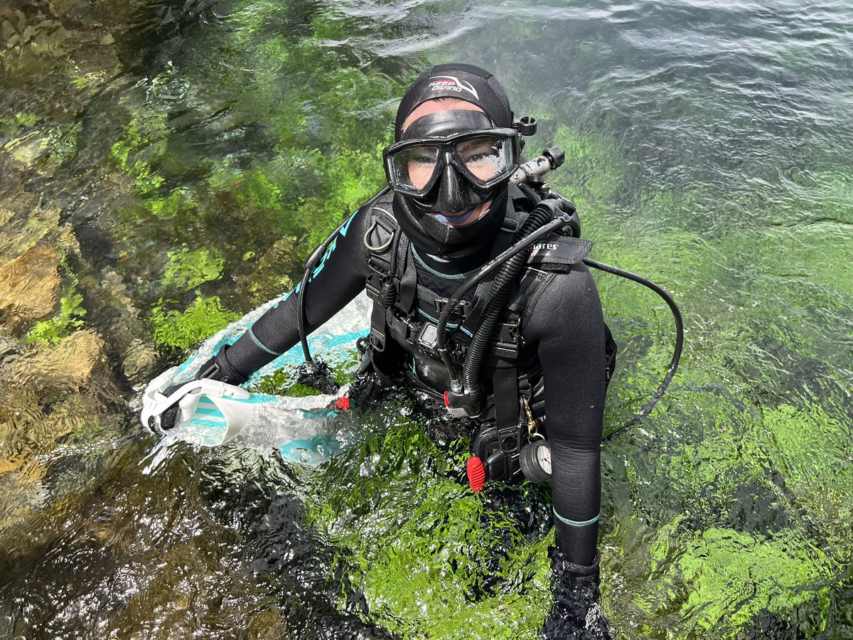 JoeeRuth's tweet photo. Tonight on @KFBB I’ll introduce you to Mermaid Kassandra and tell you more about her environmental platform #savethemermaids 💜 https://t.co/BQvP2UUuYJ