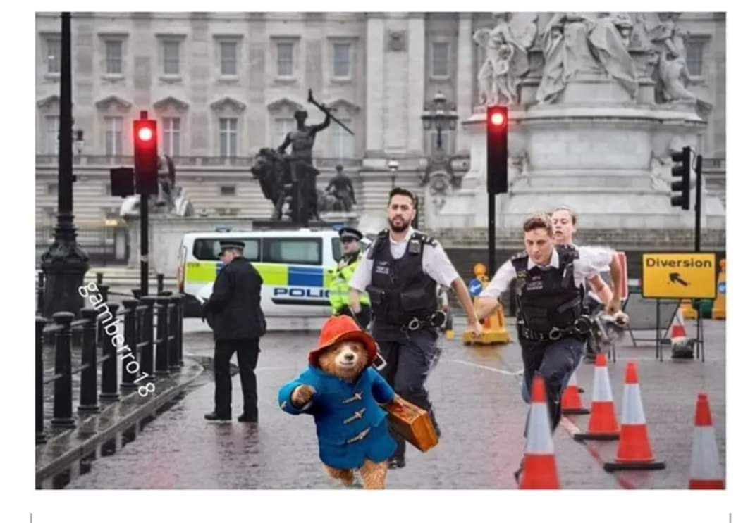 RussHowell10's tweet image. Lovely