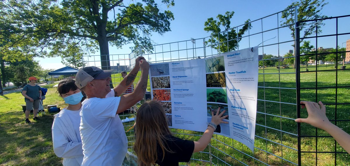nwoods's tweet photo. On this #WorldEnvironmentDay celebrating R #NYCSTEM #BrooklynCommunity as we volunteered yesterday 4 #ItsMyEstuaryDay #ConeyIslandCreek #beachcleanup. @JDHS_Dragons @JDHSAlumni & @NYCSchools #NYCStudents #teachers who showed up & cleaned up! TU 4 hosting @NYCParks & @NYSMEA https://t.co/UH21OqdCBj