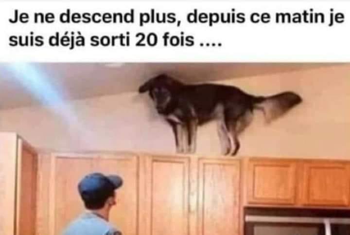 KGuldemont's tweet photo. Depuis l’arrivée de step’n @FrenchBorg @ClubSTEPNFrance @CM_Gilgamesh @StepnEurope https://t.co/PzIgumCYKR