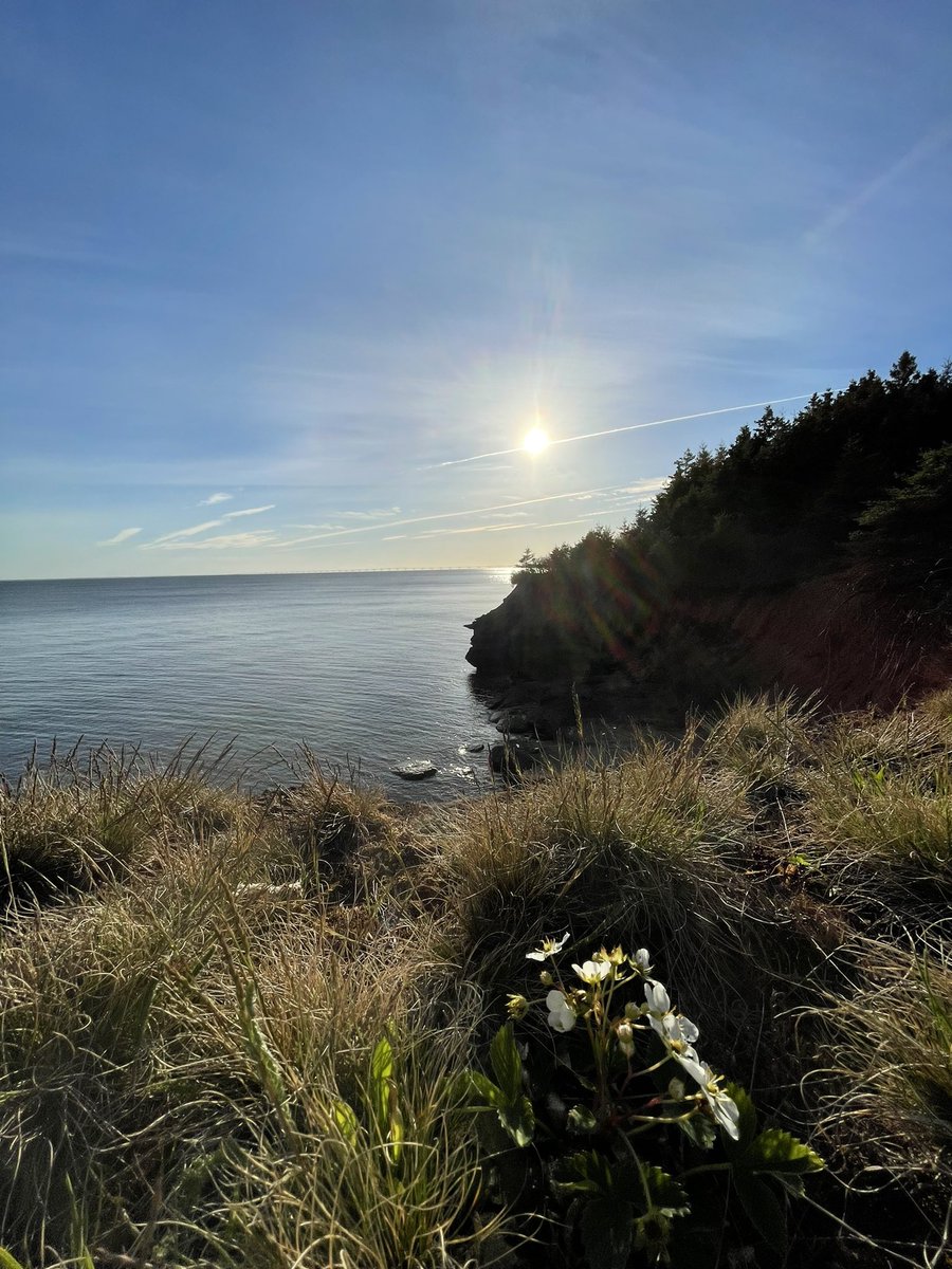 Countrylivinginthecove tweet media