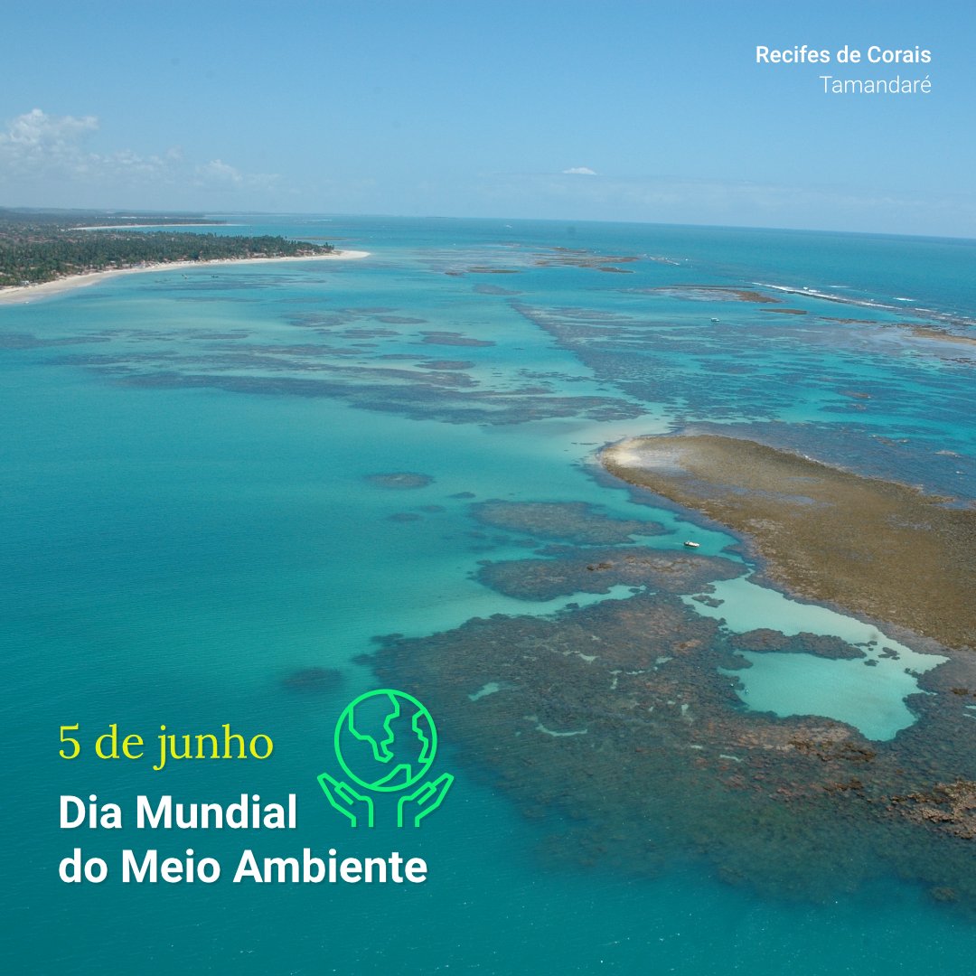 Peld Tams tweet media