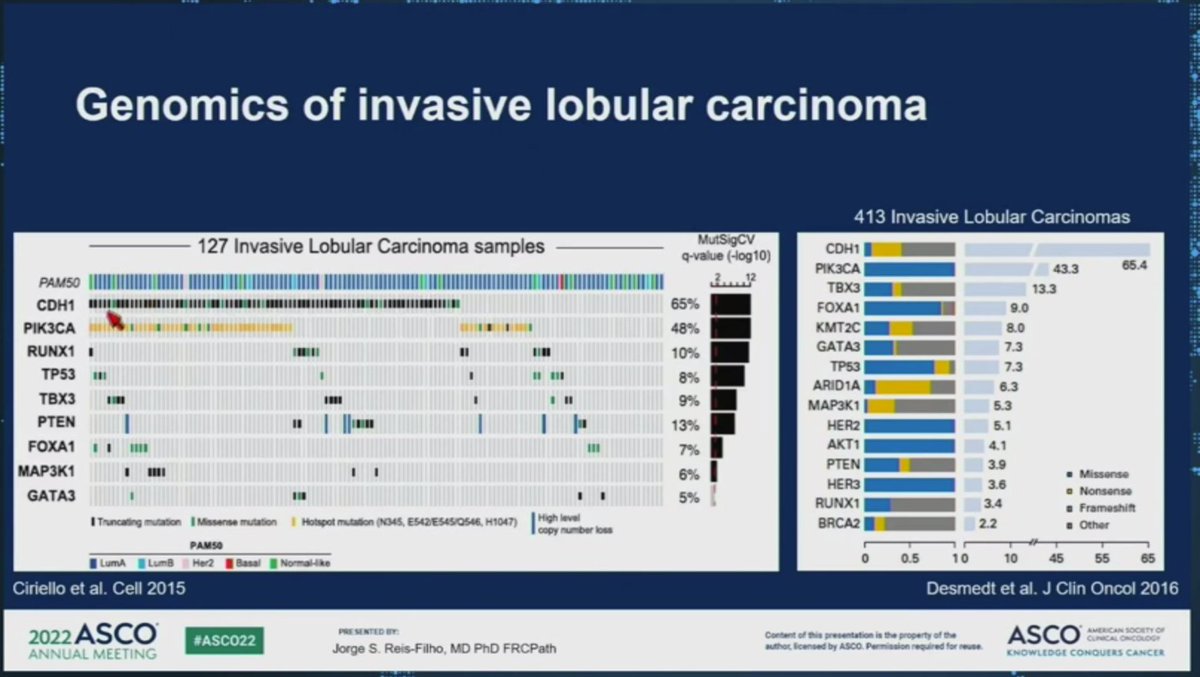 jackel626's tweet photo. Jorge Chis-Filho @MSKCancerCenter, LBCA SAB member on the unique pathology, biology and genomics of #lobular and rare types of lobular breast cancer #TNBC @LobularBCA #ASCO22 #bcsm https://t.co/HjR5b1FWP2