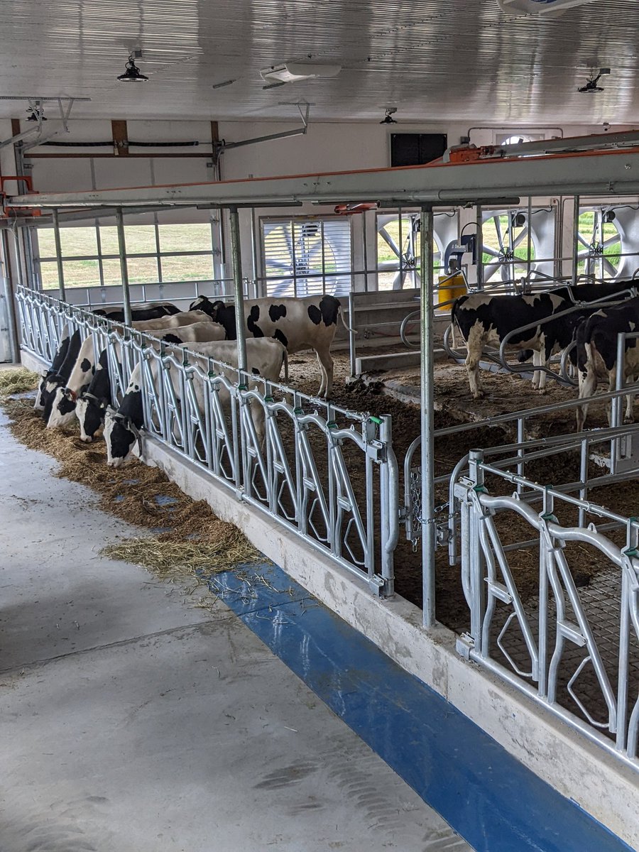 Joe Jansen tweet media