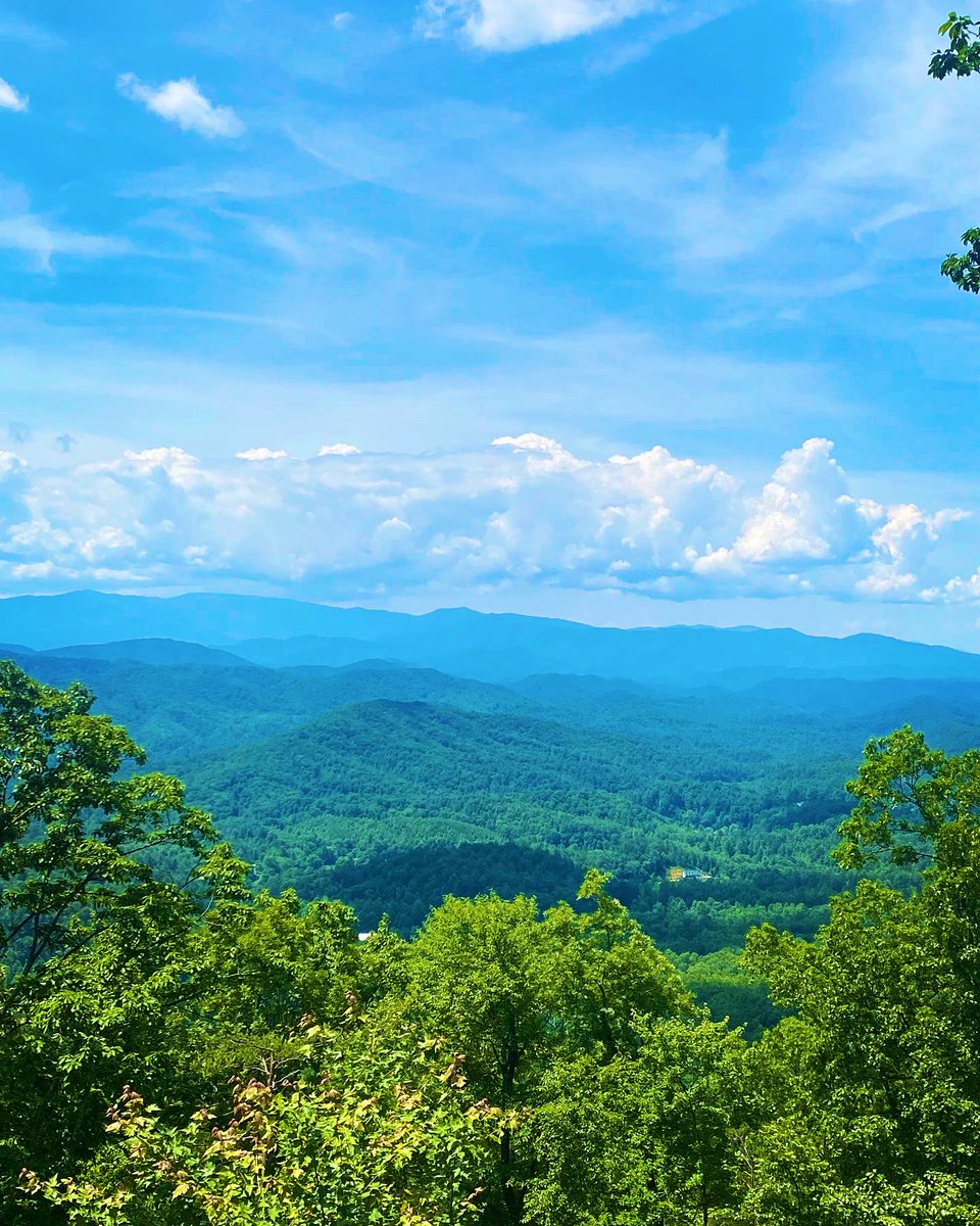 bcoker's tweet photo. Was a great day to visit Look Rock & Abrams Falls, in the Great Smoky Mountains. #lookrock #abramsfalls #greatsmokymountains #gsmnp https://t.co/tydcUoguSE