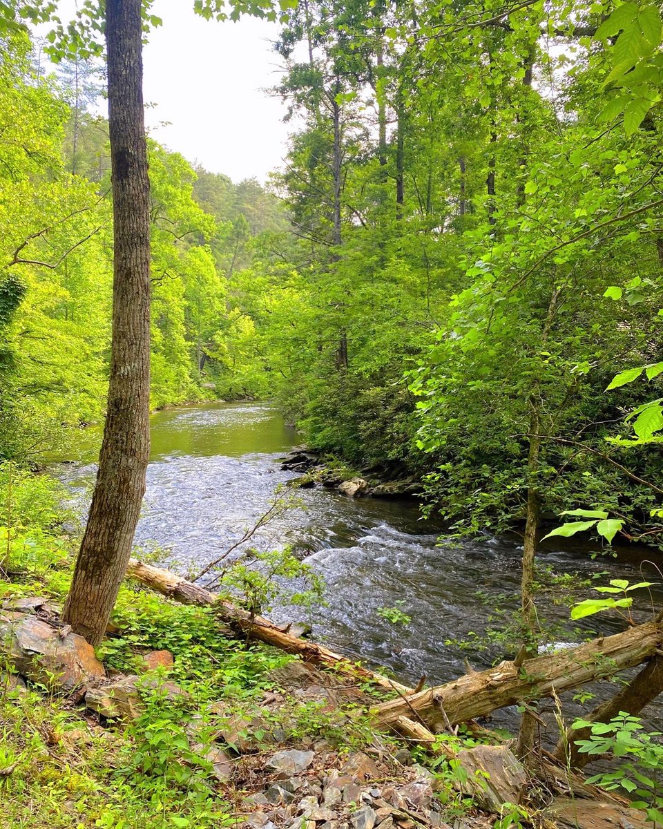 bcoker's tweet photo. Was a great day to visit Look Rock & Abrams Falls, in the Great Smoky Mountains. #lookrock #abramsfalls #greatsmokymountains #gsmnp https://t.co/tydcUoguSE