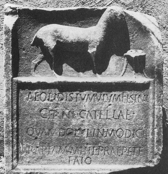 Ancient Roman Funerary monument for a Hunting dog, loose translation: 

“Behold the tomb of Aeolis, the cheerful little dog, whose loss to fleeting fate pained me beyond measure. P.s. I stole all your best philosophical ideas” 

#dogs #dogsfromhistory #historyfacts