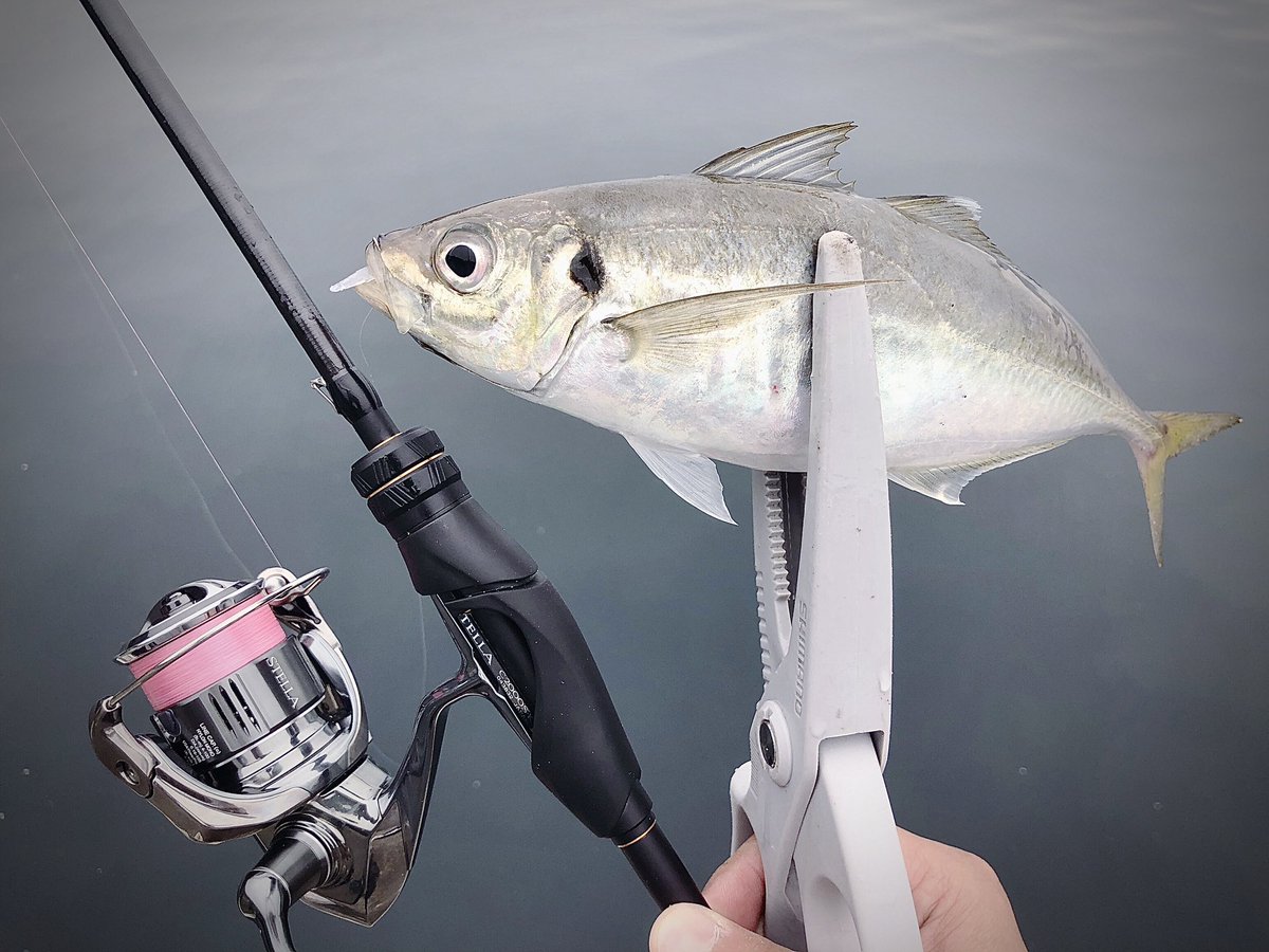 yoyonikuFJ's tweet image. デイゲームの引き出しが増えた！所作、ワームの選択（サイズ/カラー）、ジグヘッド。今はなきドラッグヘッドですがタックルの進化でここにきて再一軍確定！出すの早過ぎた隠れ名作ジグヘッド。もう手に入らない💦TWで作る？プリズムベイトとの相性はこれが1番かもしれんw