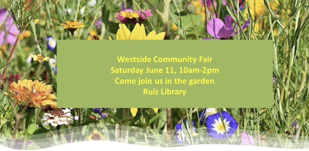 KCLibrary's tweet photo. This weekend may not quite be over yet, but we’re already looking forward to these two events next Saturday, June 11!

Westside Community Fair - 10am - 2 pm - Ruiz Branch: https://t.co/RS858WEPVY

World Doll Day - 1pm - Plaza Branch : https://t.co/1kc67EW8Vw https://t.co/IBbkyQutto