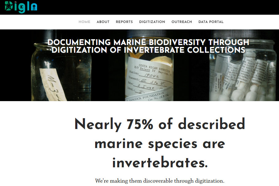 Digitization Specialist for the #NSF funded project DigIn: Digitizing Marine Invertebrates. @DigInverts @NHMLAC to help mobilize marine biodiversity data to @iDigBio and @GBIF
 
bit.ly/3NiAxOn

#SPNHC2022 #jobs #opportunity