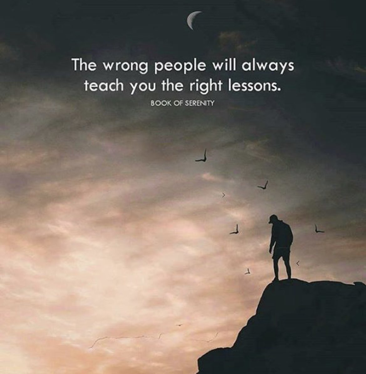 Everyday Life Quotes tweet media