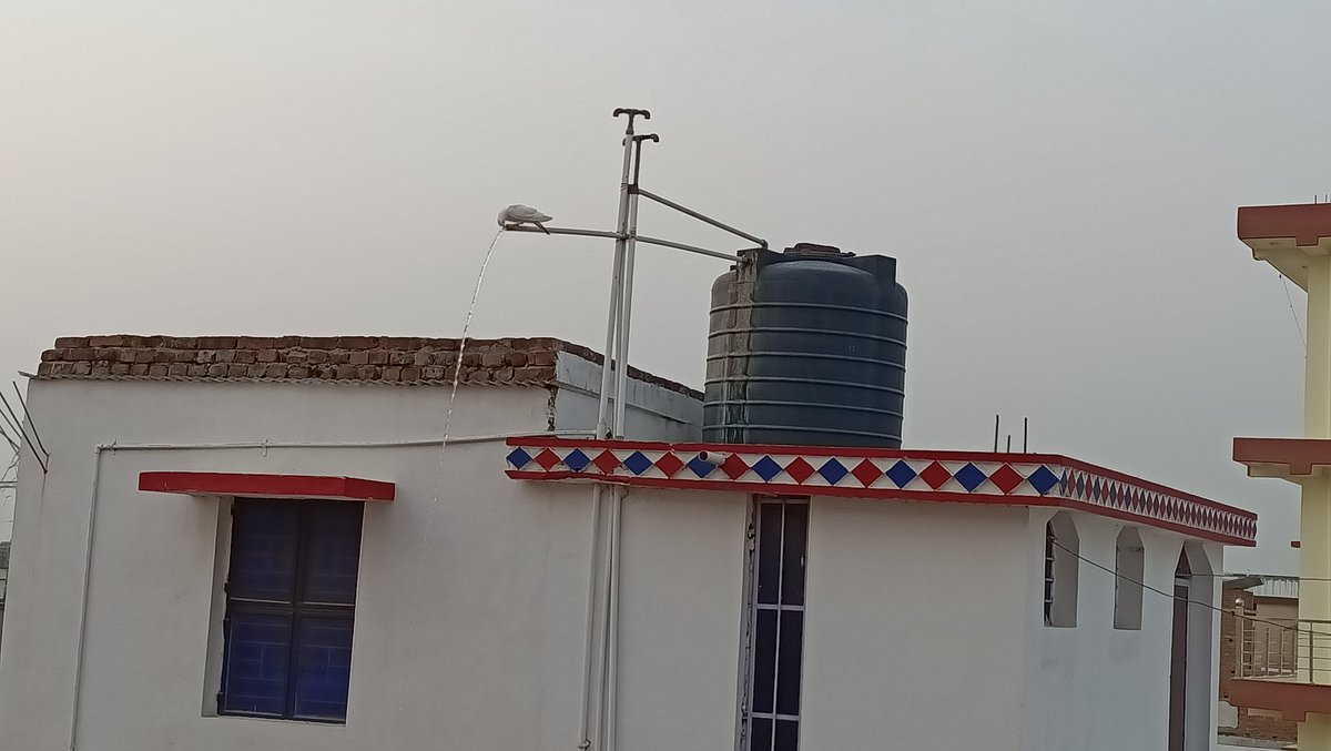 Arvind_talk's tweet photo. In this scorching summer even birds are thirsty. Save environment to save the world.
#OnlyOneEarth https://t.co/L0Lnv66wfZ