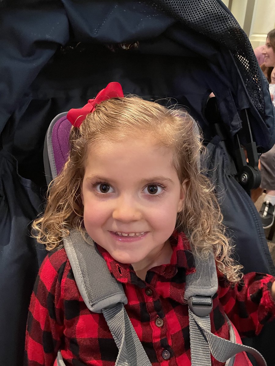 Steve Stigall tweet media