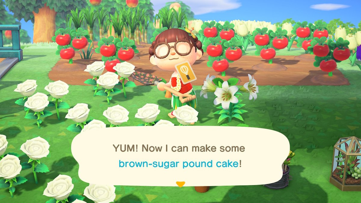jendewph's tweet photo. the new #diycards i learned this week prolly my biggest #PetPeev is capturing my Tool in this Historical moment but idk if is a 'new' recipe or Not!! #DIYs #DIYCard #AnimalCrossing #OOTD #HulaGirl #ACNH #NintendoSwitch https://t.co/RLCMlW42qf