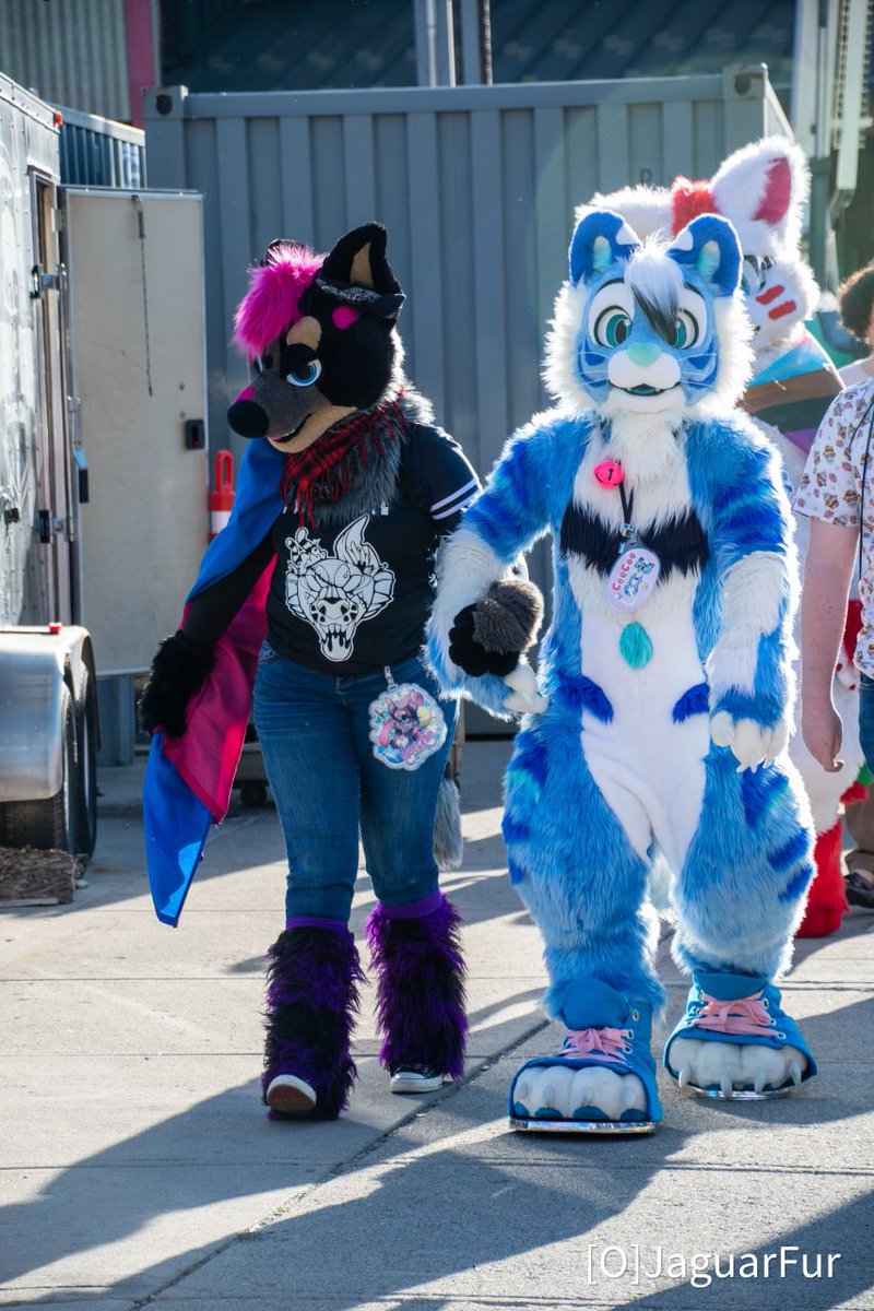 kenziekoolie's tweet photo. My forever cutie 💕💕📸:@RaindropJaguar JaguarFur 🐯:@DerpyDutchie ✂️:@Aheunfursuit and @FurZombie https://t.co/1HnzJf2Jkb
