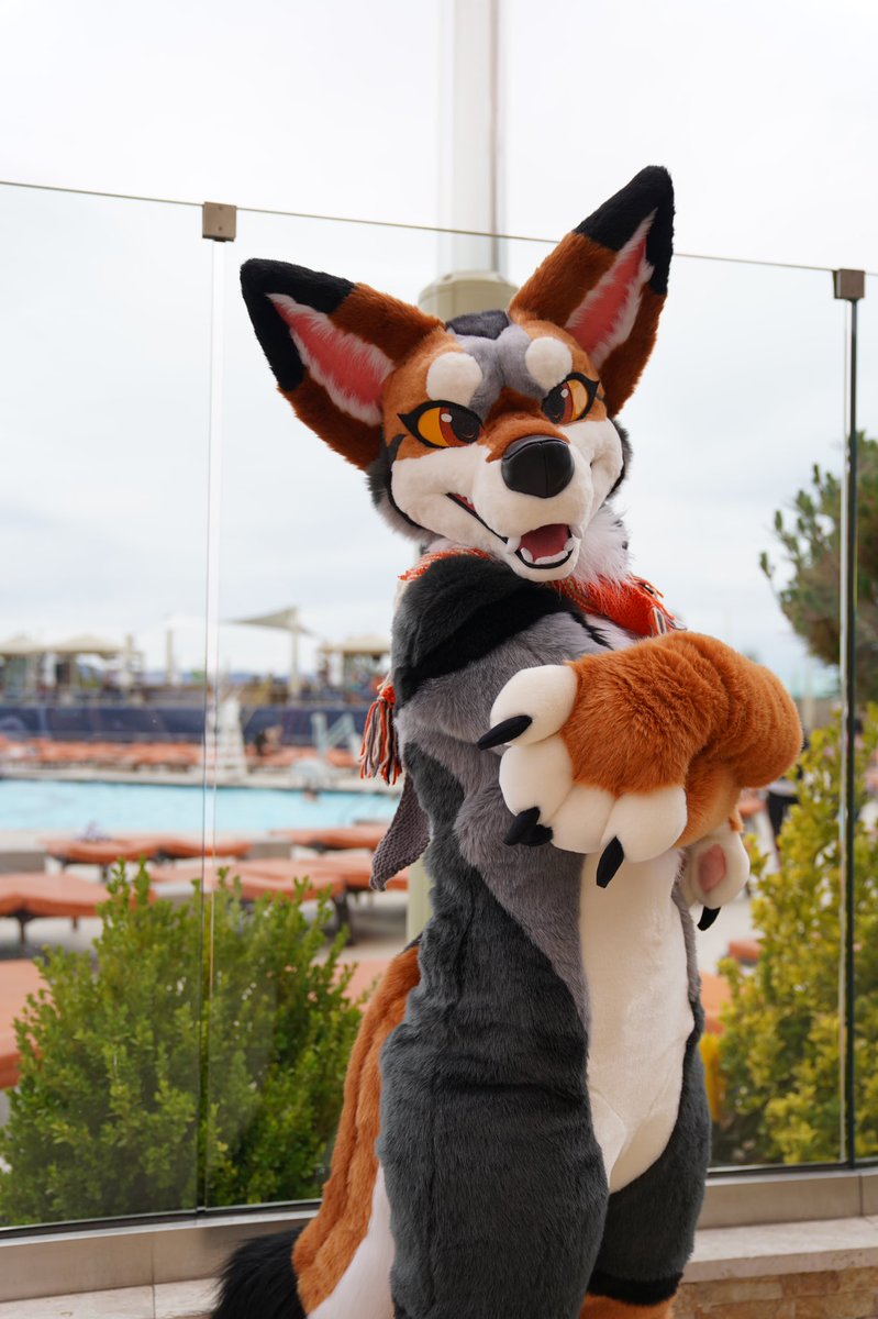RezzCoyote's tweet photo. Blfc has been a blast with this girl. Love her so much <3 Thank you so much again @FoxtrotFursuits https://t.co/Bmt967bCzT