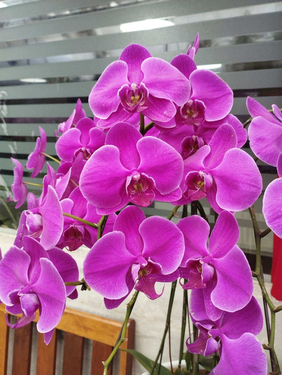KenthinC's tweet photo. 周末时,偶遇高中同学,因为他还單着,去年已然退休,过着四海为家的生活. https://t.co/H6TXZnokoF