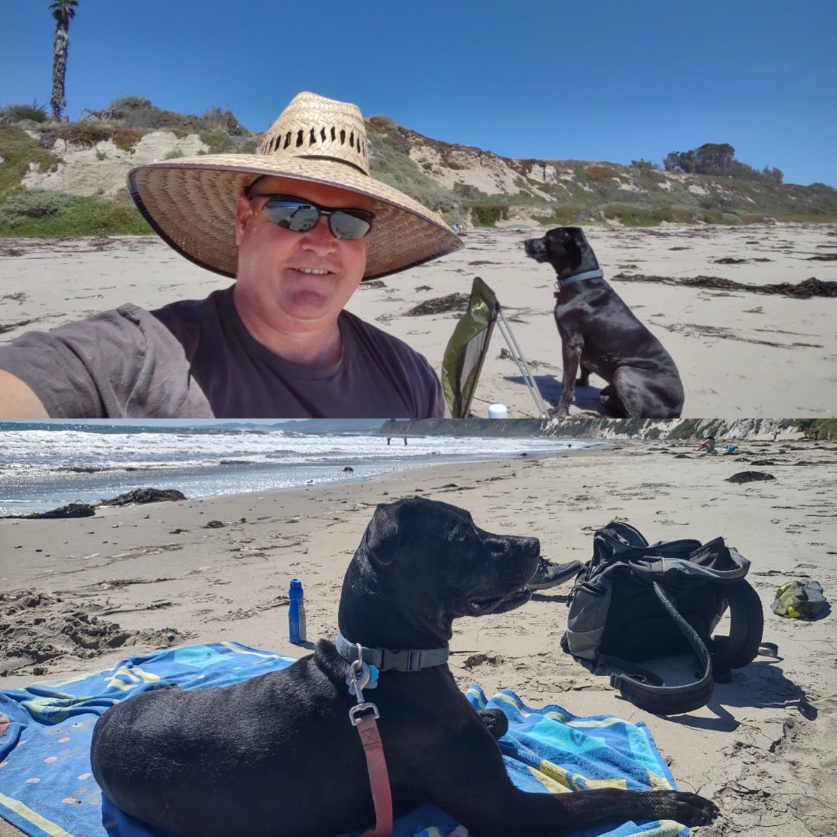 NVsharpster's tweet photo. #BeachDayWithDoggo because the sky had no fog-go.  Guess I need to bring two towels next time. https://t.co/vhM5mKAMKo