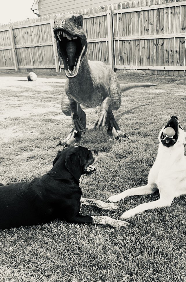 #JurassicWorldAlive #JWA4thYearAlive