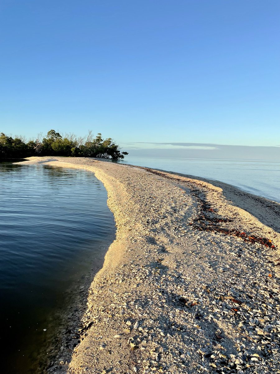 DarrenJDavisGCS's tweet photo. #SundayFunday in the @evergladesnps #10000Islands #Sunrise #favoritetimeofday #GulftoTable #MangroveSnapper #SeaTrout #Snook #CatchandRelease #BackwaterFishing #GoodlandFlorida @MinnKotaMotors #workhardplayhard https://t.co/KRSKpG64HS