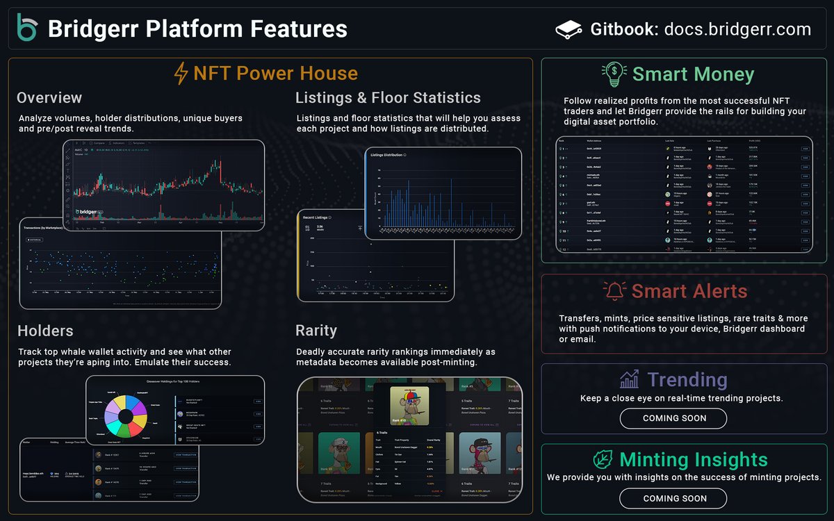 Holding a Space Rider grants you full access to <a href="/bridgerrtech/">Bridgerr Consulting</a>'s tools &amp; analytics 🛠️

Here is an infographic of the various utilities 👇