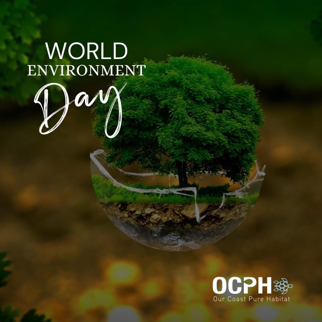 Our_Pure_Coasts's tweet photo. 🌳Happy World Environment day 2022 🌳
•
•
•
#ocph #worldenvironmentday2022🌱💚🌍 https://t.co/kudvtttsJ0