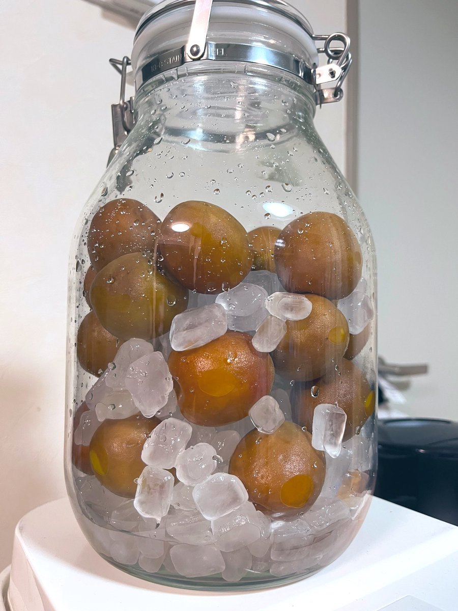 梅シロップ2日目 氷砂糖が溶け始めている コロコロ転がして梅に満遍なく お砂 片山陽介のイラスト