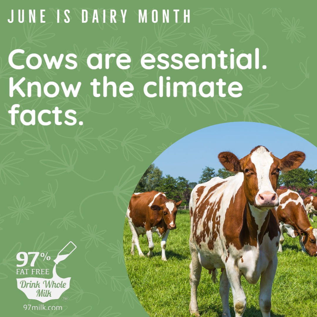 #WorldEnvironmentDay  #JuneDairyMonth 
Know the truth on cows &amp; climate #DailyDairyFacts this week #1 of 4
~ Cows emit methane that is short-lived, 12 yrs, not 100 or 1000 like other GHG. So, productive cows today feed more people w/nutrient dense milk/beef but add no NEW methane