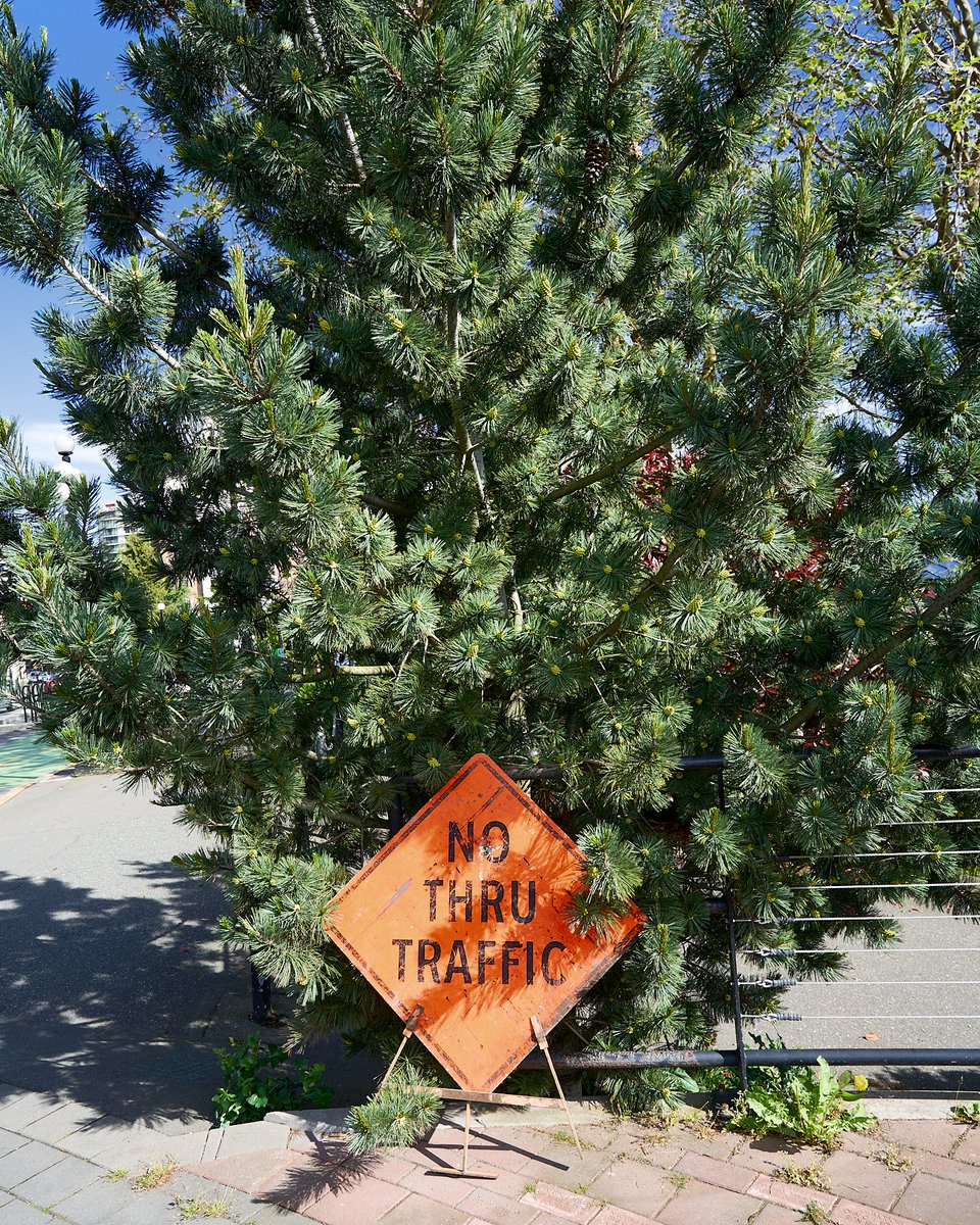 wolfnowl's tweet photo. Good to Know!!
#photo #photography #YYJ #Victoria #BC #ShipPoint #sign #CaptureOnePro https://t.co/ed8ypzyPum