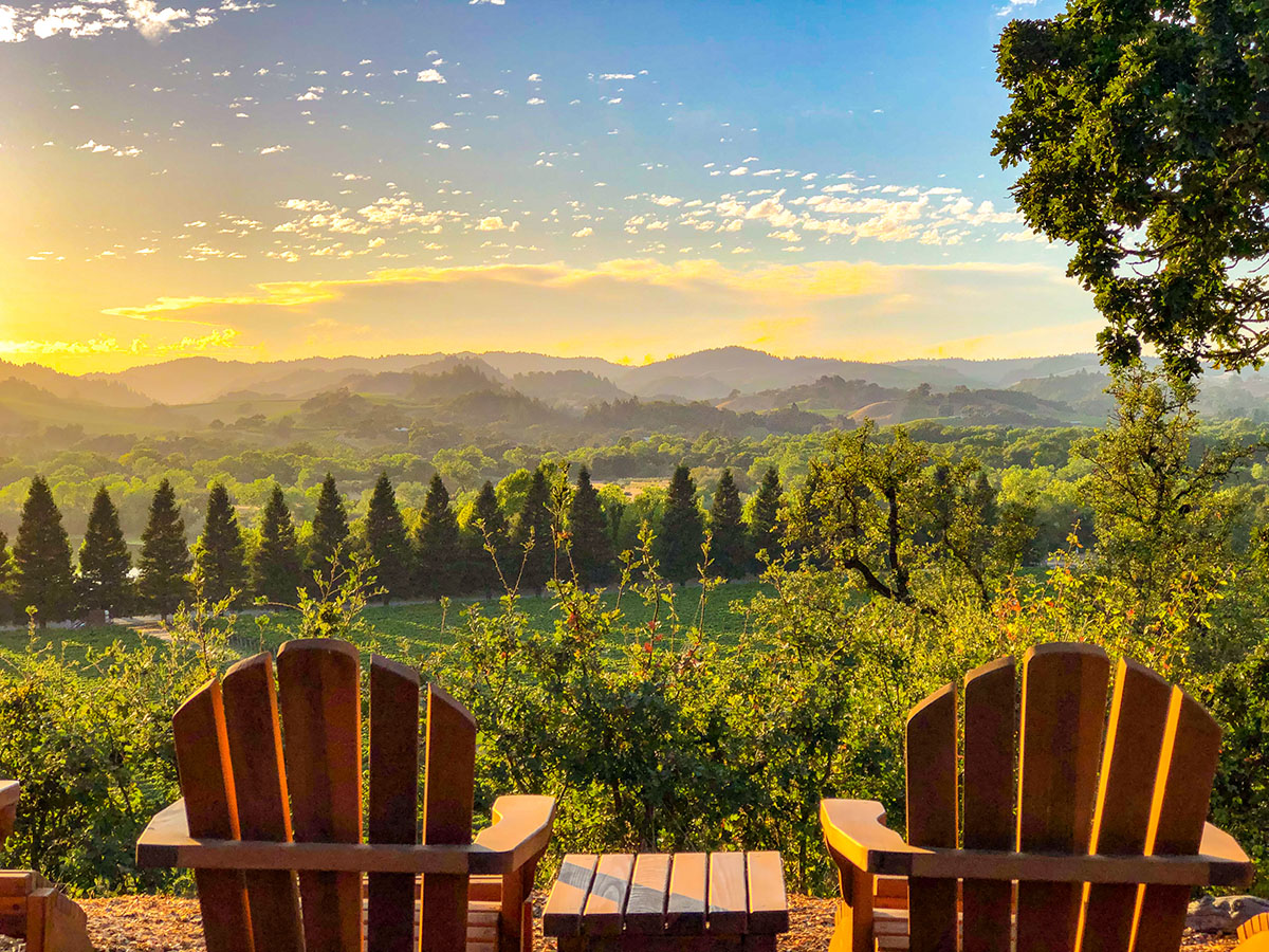 Pair your Father's Day celebrations with an unforgettable tasting experience of site-specific Chardonnay, Pinot Noir and Syrah, while overlooking our incredible views of the Russian River Valley. 🍷☀️ 

Book now at copainwines.com/wine-experienc….