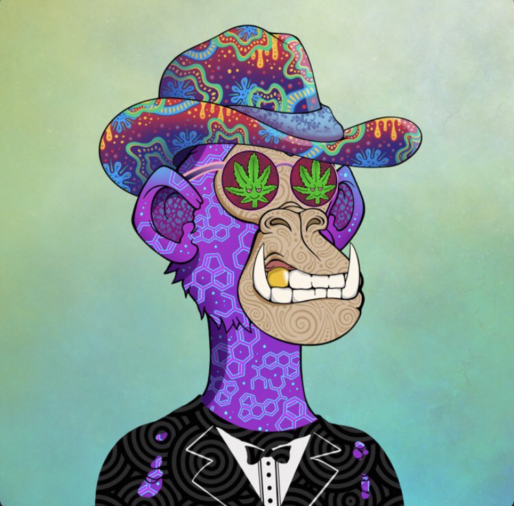 Solnaker's tweet photo. Just joined the @trippinapes heard a lot about the community. Do #tribefollowtribe ? https://t.co/ZZVcAHWH7g