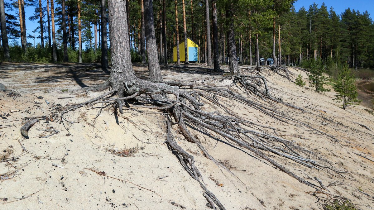 Pistohiekka Lietveden maisematien varrella Puumalassa. ⛱

Lisätietoja 👇
saimaageopark.fi/kohteet/pistoh… ja pistohiekka.fi 

#saimaageopark #UNESCOGlobalGeopark #pistohiekka
