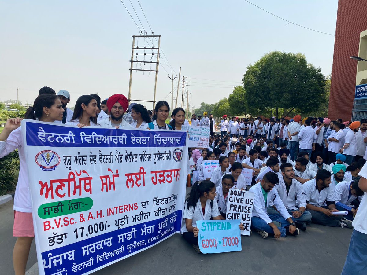 GadvasuVetUnion's tweet photo. #gadvasuvetunion  
We are protesting for Increase in stipend from 6200/- to 17000/- per month..
@BhagwantMann @KuldeepSinghAAP @HarpalCheemaMLA @meet_hayer @PunjabGovtIndia @AAPPunjab https://t.co/Dyxn0TdmK9