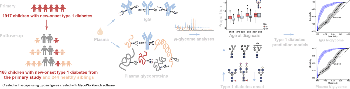 Diabetologia (@diabetologiajnl) on Twitter photo N glycans on plasma proteins and IgG are changed in children at onset of type 1 #diabetes compared with their healthy siblings and correlate with age at diagnosis. <a href="/SveucilisteZG/">Sveučilište u Zagrebu</a> <a href="/hrzz_science/">Croatian Science Foundation</a> <a href="/NajdaRudman/">Najda Rudman, PhD</a> @GlycoAnalytics #T1D bit.ly/3tjPtEu 🔓 N glycans on plasma proteins and IgG are changed in children at onset of type 1 #diabetes compared with their healthy siblings and correlate with age at diagnosis. <a href="/SveucilisteZG/">Sveučilište u Zagrebu</a> <a href="/hrzz_science/">Croatian Science Foundation</a> <a href="/NajdaRudman/">Najda Rudman, PhD</a> @GlycoAnalytics #T1D bit.ly/3tjPtEu 🔓